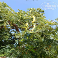 фото из отзыва ID 2725562