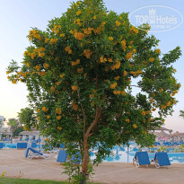 фото из отзыва ID 2725562