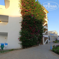 фото из отзыва ID 2725562