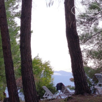 фото из отзыва ID 2725576