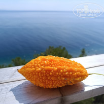 фото из отзыва ID 2725576