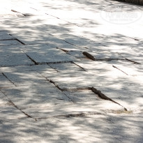 фото из отзыва ID 2725576