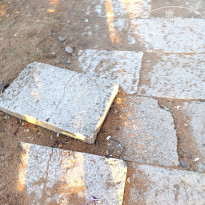 фото из отзыва ID 2725576