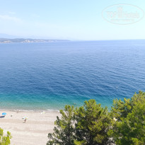 фото из отзыва ID 2725576