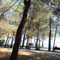 фото из отзыва ID 2725576