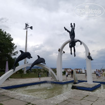 фото из отзыва ID 2725576