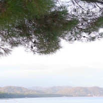 фото из отзыва ID 2725576