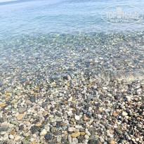 фото из отзыва ID 2725576