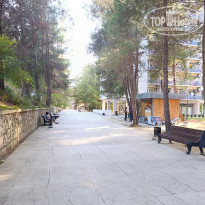 фото из отзыва ID 2725576