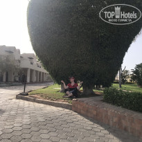 фото из отзыва ID 2725574