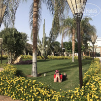 фото из отзыва ID 2725574