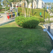 фото из отзыва ID 2725575