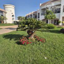 фото из отзыва ID 2725596