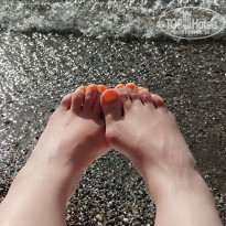 фото из отзыва ID 2725603