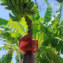 фото из отзыва ID 2725603