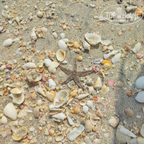 фото из отзыва ID 2725606