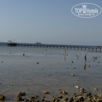 фото из отзыва ID 2725614