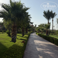 фото из отзыва ID 2725614