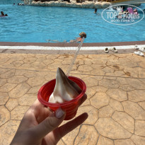 фото из отзыва ID 2725614