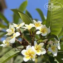 фото из отзыва ID 2725614