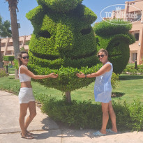 фото из отзыва ID 2725616