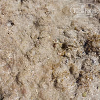 фото из отзыва ID 2725616