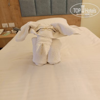 фото из отзыва ID 2725616