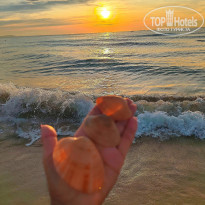 фото из отзыва ID 2725662