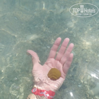 фото из отзыва ID 2724609