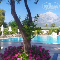 фото из отзыва ID 2724609