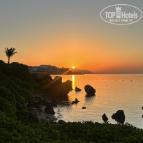 фото из отзыва ID 2724812