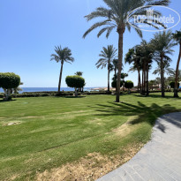 фото из отзыва ID 2724812