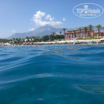 фото из отзыва ID 2725685