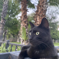 фото из отзыва ID 2725685