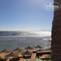 фото из отзыва ID 2725729