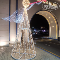 фото из отзыва ID 2725725