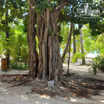 фото из отзыва ID 2725722