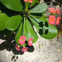 фото из отзыва ID 2725722