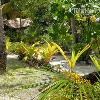 фото из отзыва ID 2725722