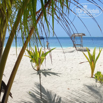 фото из отзыва ID 2725722