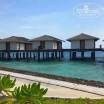 фото из отзыва ID 2725722