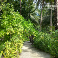 фото из отзыва ID 2725722