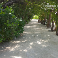 фото из отзыва ID 2725722