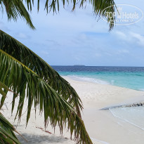 фото из отзыва ID 2725722