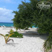 фото из отзыва ID 2725722