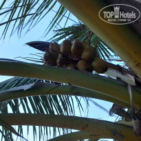 фото из отзыва ID 2725722