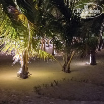 фото из отзыва ID 2725722