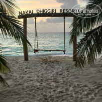 фото из отзыва ID 2725722