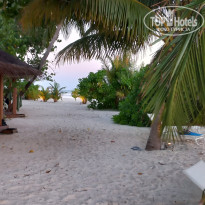 фото из отзыва ID 2725722