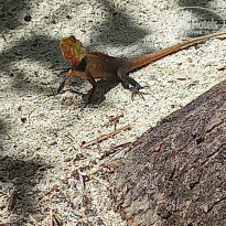 фото из отзыва ID 2725722